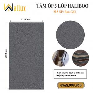 TẤM ỐP TƯỜNG 3 LỚP HALIBOO Boo G62