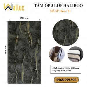 TẤM ỐP TƯỜNG 3 LỚP HALIBOO Boo T81