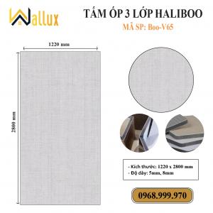 TẤM ỐP TƯỜNG 3 LỚP HALIBOO Boo V65