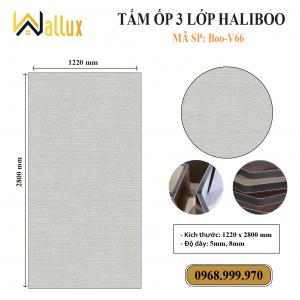 TẤM ỐP TƯỜNG 3 LỚP HALIBOO Boo V66