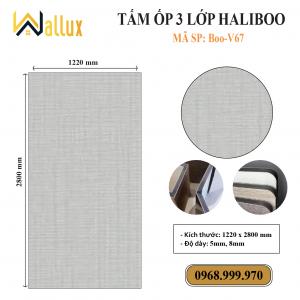 TẤM ỐP TƯỜNG 3 LỚP HALIBOO Boo V67