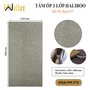TẤM ỐP TƯỜNG 3 LỚP HALIBOO Boo G77