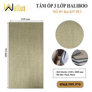 TẤM ỐP TƯỜNG 3 LỚP HALIBOO Boo K57 PET