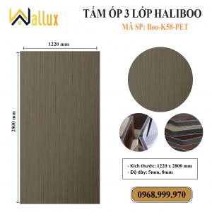 TẤM ỐP TƯỜNG 3 LỚP HALIBOO Boo K58 PET