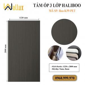 TẤM ỐP TƯỜNG 3 LỚP HALIBOO Boo K59 PET