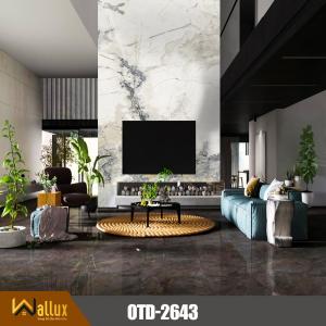 Tấm nhựa giả đá bóng gương W-OTD-2643