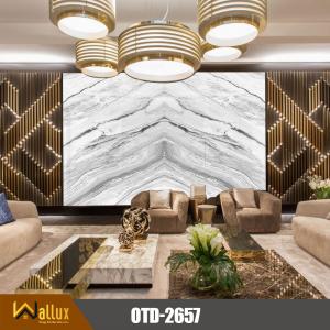 Tấm nhựa giả đá bóng gương W-OTD-2657