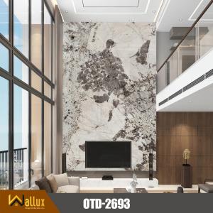 Tấm nhựa giả đá bóng gương W-OTD-2693