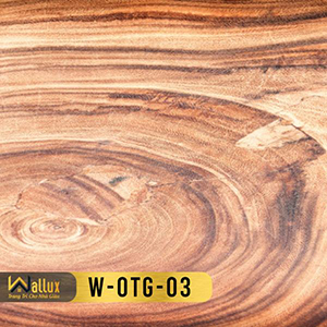 tấm ốp tráng gương