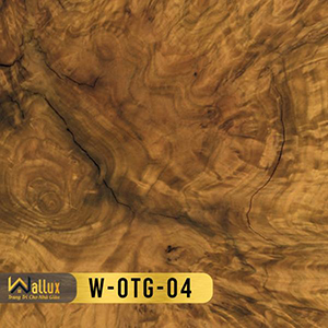 tấm ốp tráng gương