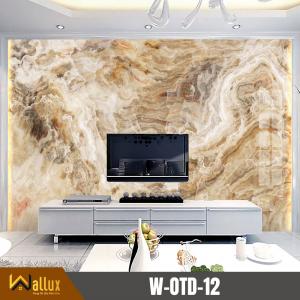 tấm ốp tường tráng gương