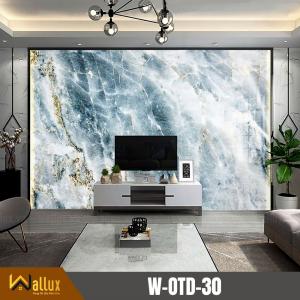 tấm ốp tường tráng gương