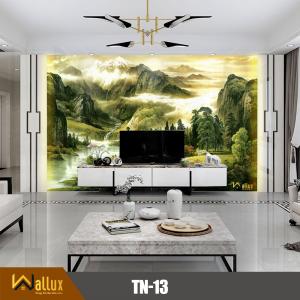 Trang thiên nhiên bóng gương TN-13