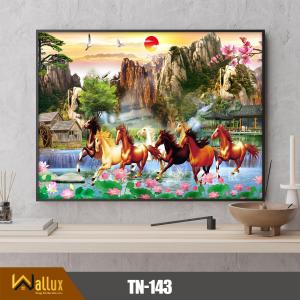 Trang thiên nhiên bóng gương TN-143
