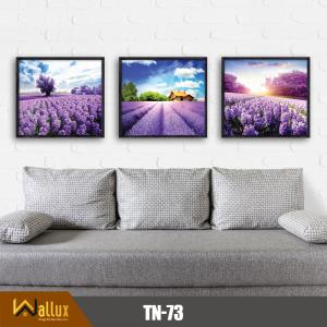 Trang thiên nhiên bóng gương TN-73