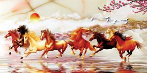 Trang thiên nhiên bóng gương TN-81