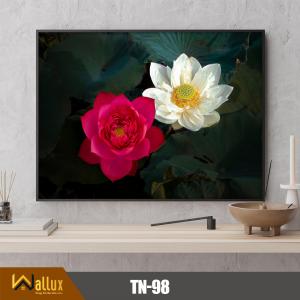 Trang thiên nhiên bóng gương TN-98