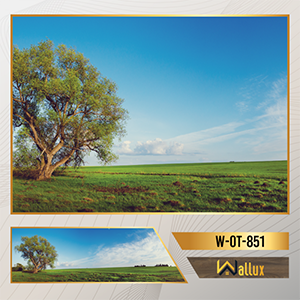 tranh ốp tường thương hiệu Wallux