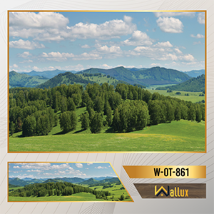 tranh ốp tường thương hiệu Wallux