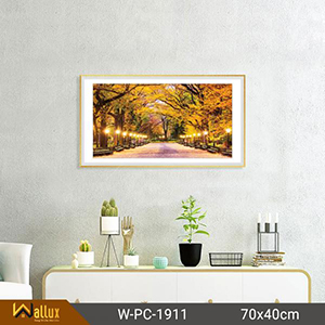 tranh pha lê tráng gương wallux