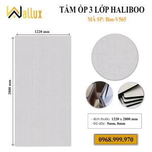 TẤM ỐP TƯỜNG 3 LỚP HALIBOO BOO - V565