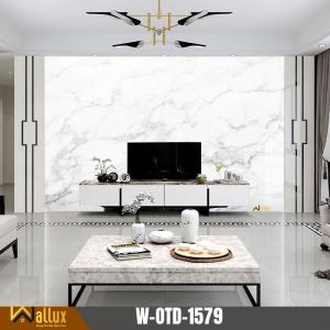 Tấm nhựa giả đá bóng gương W-OTD-1579