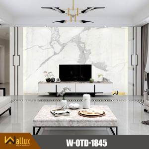 Tấm nhựa giả đá bóng gương W-OTD-1845