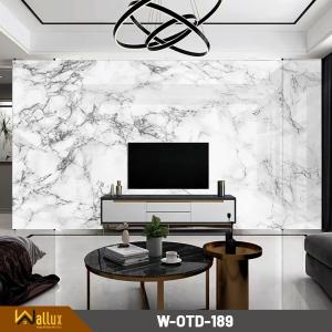 Tấm nhựa giả đá bóng gương W-OTD-189