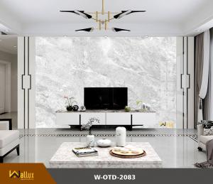 Tấm nhựa giả đá bóng gương W-OTD-2083