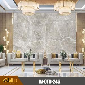 Tấm nhựa giả đá bóng gương W-OTD-245