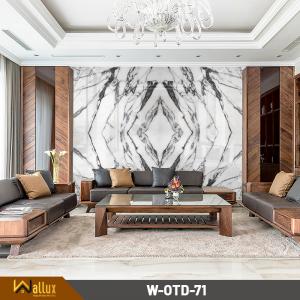 Tấm nhựa giả đá bóng gương W-OTD-71