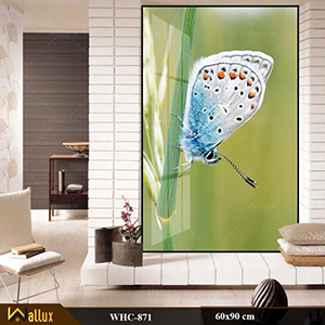 Bộ tranh treo tường pha lê tráng gương WHC-871