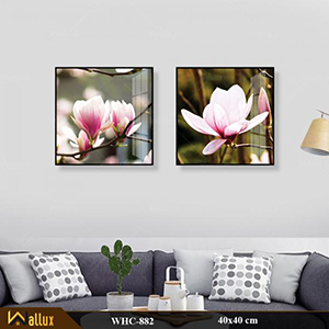 Bộ tranh treo tường pha lê tráng gương WHC-882