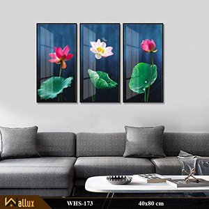 Bộ tranh treo tường pha lê tráng gương WHS-173