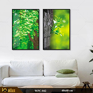 Bộ tranh treo tường pha lê tráng gương WPC-042