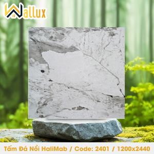 TẤM ĐÁ DẬP NỔI HALIMAB 2401