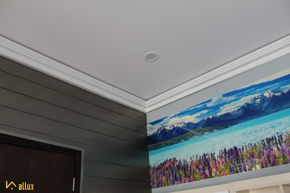 Tấm ốp tường Wallux