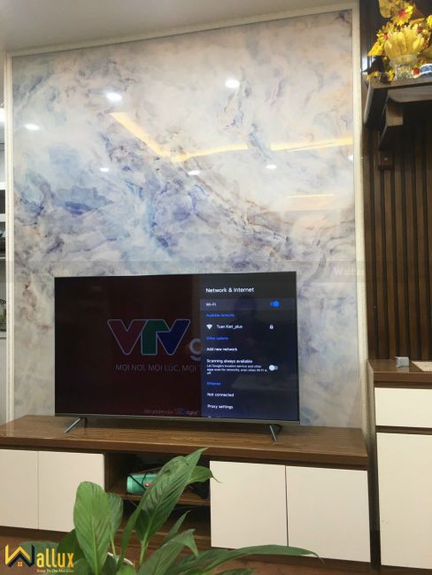 vách nhựa giả đá